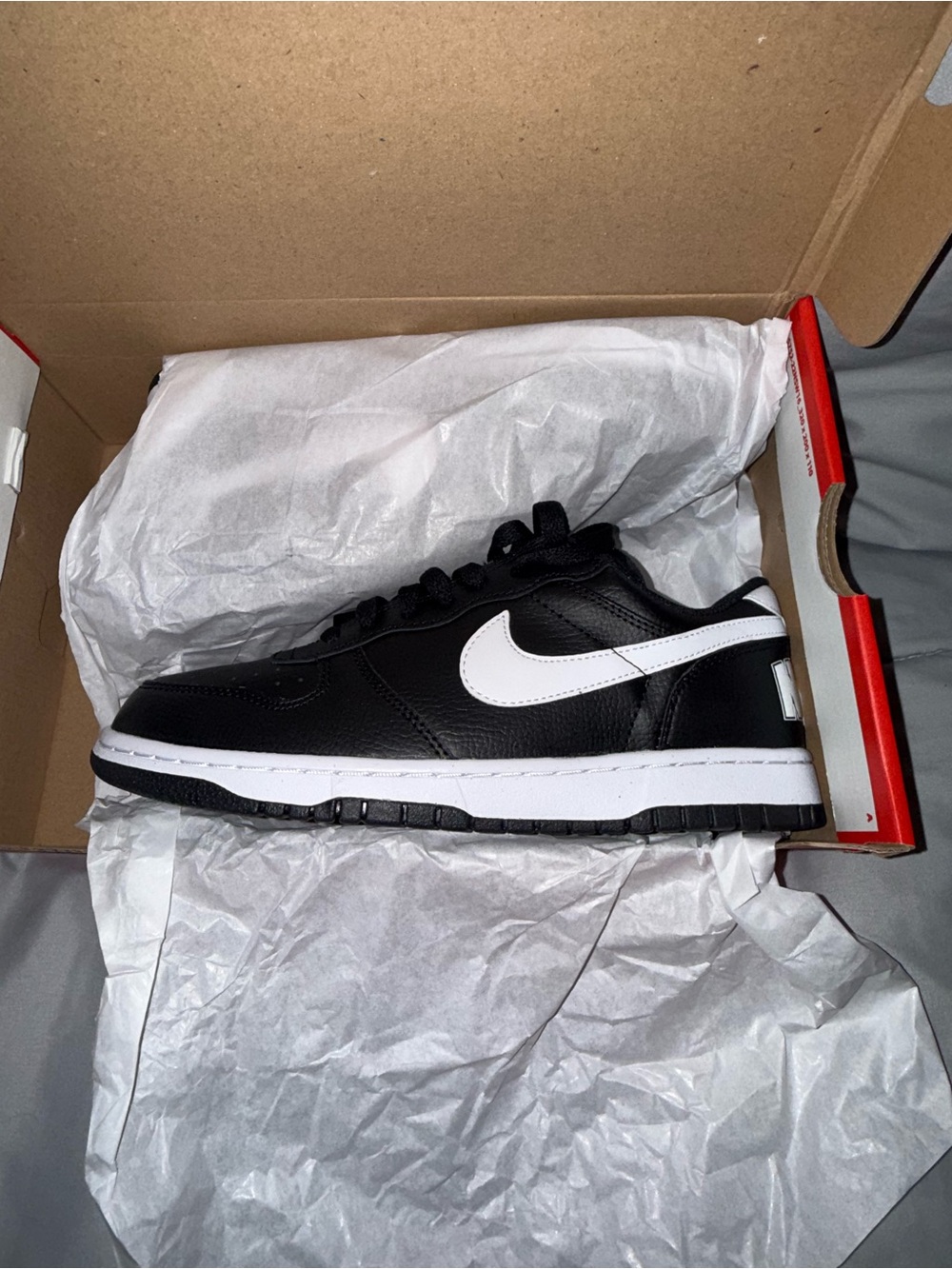 Nike Big Low Black and White Sneaker